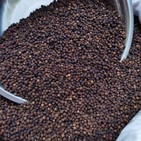 Spices Herbs Condimetns Seasonings Black Pepper