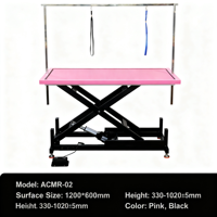 Table de toilettage pour animaux de compagnie électrique pliable en acier inoxydable, table de toilettage pour animaux de compagnie à hauteur réglable, table de toilettage électrique pour animaux de compagnie