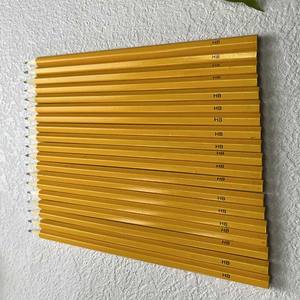 Crayons de couleur à pousses personnalisés, oubliez-moi, non fabriqués à partir de crayons à plantes en bois certifiés - Product Image 2