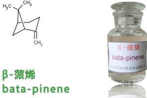 <span class=keywords><strong>Beta</strong></span> <span class=keywords><strong>Pinene</strong></span> doğal terpen - Product Image 3