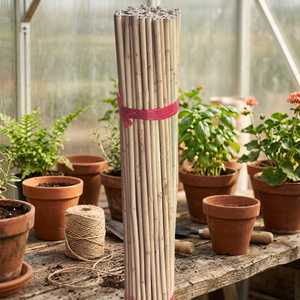 Estacas de Bambú Natural Sostenible para Soporte de Plantas en Agricultura, Hechas en Vietnam - Product Image 1