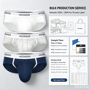 Slip <span class=keywords><strong>perizoma</strong></span> da uomo sexy in rete a vita bassa, sottile, con pochette 3D, design personalizzato OEM, la migliore qualità all'ingrosso - Product Image 3