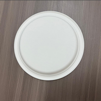 Assiette jetable biodégradable blanche de 9 pouces pour fêtes, camping, burgers, kits de couverts jetables