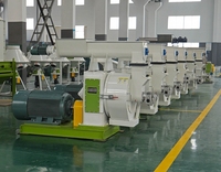 Ligne de production de granulés de bois haute capacité pour les sociétés forestières russes, produisant du carburant de qualité export à partir de déchets