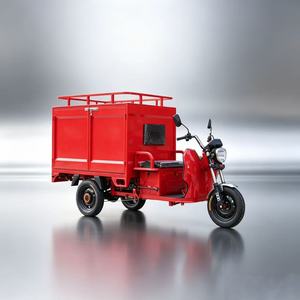 <span class=keywords><strong>Camion</strong></span> de pompiers électrique micro-tricycle de la marque Nuen, expédié directement de l'usine, avec fonctions de <span class=keywords><strong>patrouille</strong></span> et de sauvetage - Product Image 6