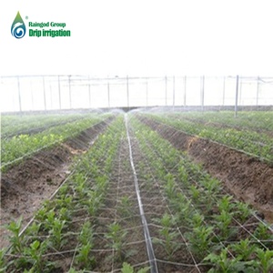 <span class=keywords><strong>Tuyau</strong></span> d'<span class=keywords><strong>arrosage</strong></span> plat en plastique pour l'irrigation agricole, diamètre 20 mm, distance de sortie 100-300 mm, surface brillante - Product Image 2