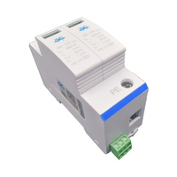 Protection contre les surtensions AC 2P SPD 10-20KA/20-40KA /30KA-60KA Protection contre la foudre domestique Dispositif de protection contre les surtensions basse tension 230V 275V