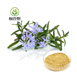 Bubuk ekstrak Rosemary <span class=keywords><strong>Rosmarinus</strong></span> <span class=keywords><strong>Officinalis</strong></span> kualitas Premium murni - Product Image 2