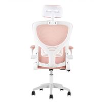 Chaises de bureau minimalistes en gros pour usage commercial, chaises de direction ergonomiques en maille
