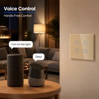 Interrupteur mural tactile intelligent Bingoelec Wifi Tuya OEM/ODM EU 1 à 4 gangs avec panneau en verre et télécommande