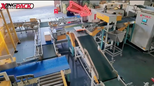 Palettiseur robotisé automatique <span class=keywords><strong>ABB</strong></span> ou <span class=keywords><strong>KUKA</strong></span> pour sacs et cartons - Product Image 4