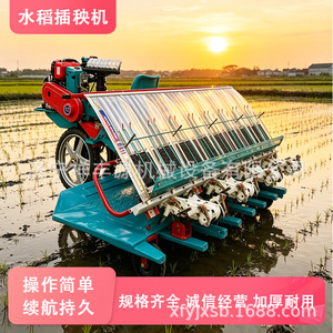 Transplanteur de riz 8 rangs, moteur diesel, haute productivité, équipement agricole pour la plantation de riz - Product Image 3