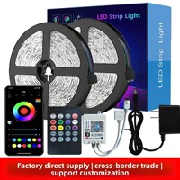 Ruban LED RGB en gros pour usine, synchronisation rythmique musicale, contrôlé par application, bande de diodes personnalisable pour chambre et TV