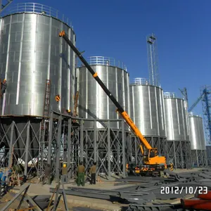 Multifunzionale 1000T fabbricato grano silo di stoccaggio per le aziende agricole