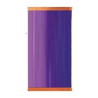 20 Boîtes de Cartes à Collectionner Scarlet & Violet Gem Pack Vol.3 Gengar Meowth en Chinois Simplifié, Boîte Mystère de Boosters, Jouet en Gros