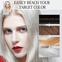 Vente en gros Disaar Poudre décolorante pour cheveux Salon Produits capillaires pour coiffer Formule professionnelle Odeur agréable Poignée facile à appliquer