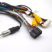 Harness Kabel Listrik Mobil Distribusi Tinggi 2*10 Pin Harness Kawat Mobil untuk Toyota