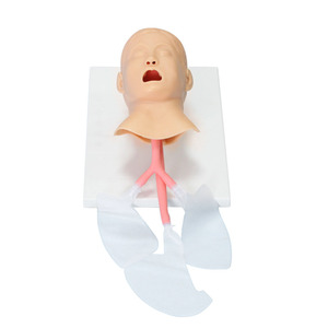 Simulateur d'entraînement à l'intubation trachéale pour enfant, taille réelle, en PVC durable, mannequin de soins infirmiers pour la gestion des voies respiratoires en milieu médical - Product Image 3
