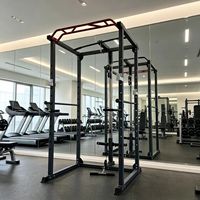 Rack de musculation multifonctionnel pour squats, développés couchés, tirages dorsaux, tractions, dips, entraînement complet du corps, avec câble lisse pour triceps