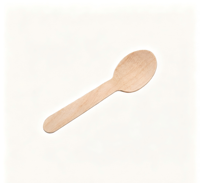 Cuillères jetables en bois naturel de différentes tailles, en bouleau, biodégradables, pour la dégustation, la restauration, les événements, les hôtels, les restaurants, les cafés