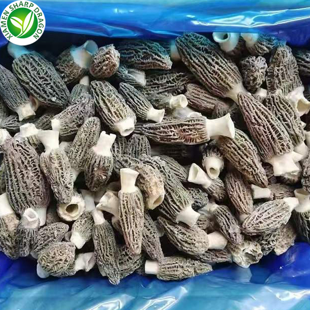 IQF Cultivated Wild Morel Mushroom Bulk Wholesale Seasoned Fresh Healthy Whole Cultivated Source