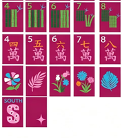 Tragbares Acryl-Amerikanisches Mahjong-Set mit Lebhaftem Leopardenmuster, Faltbares Brettspiel für Partys und Unterhaltung