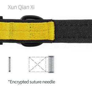 Wholesale Trade Customization LOGO Oem Yellow Thick Adjustable Solid Nylon Ribbons Cushion Minimal Pug <strong>Dog</strong> Collar Luxury for - Product Image 4