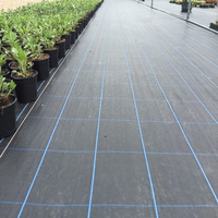 Paillis de sol en plastique noir pour couverture agricole robuste tissé en PP