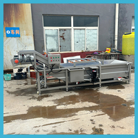 Machine à laver à bulles d'air à petite échelle pour restaurant, dattes, persil, patates douces, oignons et cacahuètes