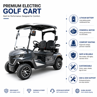 Voiturette de golf électrique 2 places, moteur AC, batterie lithium 48V/72V, autonomie 90 km, 4 roues motrices, tout-terrain, homologuée pour la route, pour les centres de golf