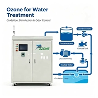 Integrierter 80g/h Ozongenerator mit 8% Konzentration, 380V Ozonisator für Abgasdämoniacentfernung & industrielle Abwasserbehandlung