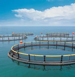 Acuicultura fundido langosta pez cangrejo trampa para peces Vieira farol jaula de red de granja