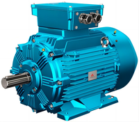 Moteur asynchrone triphasé antidéflagrant CNE série IE3 WEX3 0,37~375KW, classe de refroidissement IC411 F/H, montage sur panneau