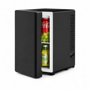 Mini-réfrigérateur thermoélectrique portable 2,5 L, AC 100-240V, refroidisseur de boissons compact pour chambre, bureau, hôtel, soins de la peau - Product Image 1