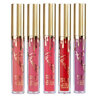 Make Up Supplier Lipstik Label Pribadi Cair Matte