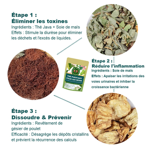 OEM Infuso Detox per Reni Naturale Biologico Erbe Salutari Pulizia Renale Bustina di Tè - Product Image 2