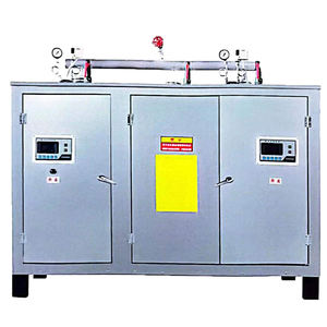 Chaudière à vapeur au feu <span class=keywords><strong>de</strong></span> <span class=keywords><strong>bois</strong></span> Prix pour Hamam Bain <span class=keywords><strong>de</strong></span> <span class=keywords><strong>spa</strong></span> à mélange <span class=keywords><strong>de</strong></span> <span class=keywords><strong>bois</strong></span> 150 kg/h 200kg Chaudières à vapeur à biomasse - Product Image 5