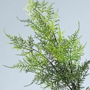 Feuille de Bambou Simulée Fougère Mur Plante Fleur Plastique Verte <span class=keywords><strong>Romarin</strong></span> avec Parfum Vanille Colle Douce Artificielle Verdure de Noël - Product Image 3