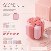 Nouveauté : Crème blush pressée multi-teintes en forme originale, impression de marque privée disponible pour les propriétaires de marques dès maintenant
