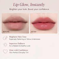Gloss à lèvres naturel personnalisé longue tenue avec logo sur mesure pour un look naturel, fini velours mat, faible saturation, gris rose rose
