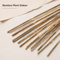 Tiang Penyangga Tomat dari Bambu Alami, Tiang Bambu Kustom