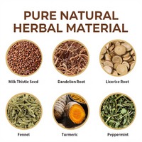 Tisane Détox Minceur Rapide OEM, Tisane Détox Naturelle aux Graines de Chicorée, Racines de Pissenlit, Curcuma et Extrait de Menthe