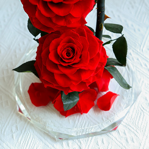 Cúpula de Cristal con 3 Rosas Preservadas Serie Grand Prince, Decoración de Boda de Lujo, Regalo de San Valentín, Personalizable al por Mayor - Product Image 2