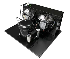 2 Hp Semi-Hermetic Condensing Unit For Cold Room