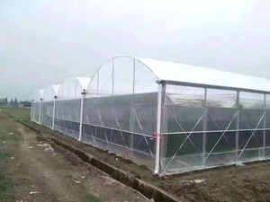 Lớn duy nhất nhà kính nông nghiệp phim <span class=keywords><strong>LDPE</strong></span> Polyethylene trong suốt không thấm nước dày tấm nhựa - Product Image 5