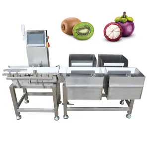 Cheap Price Automatic Industrial Digital Conveyor Belt Parcel/shrimp/fish/weighing Scale Sorting Machine