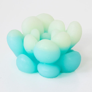 Savon naturel biologique fait à la main forme personnalisée plante <span class=keywords><strong>succulente</strong></span> barre de bain blanchissante et amincissante 100g marque privée en gros - Product Image 6