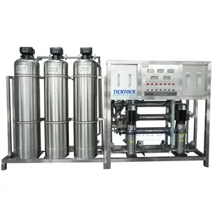 Alkaline RO System 500lph Double Pass Stainless Steel Filter Tanks Automatic Backwash Water Purification Plant Cost