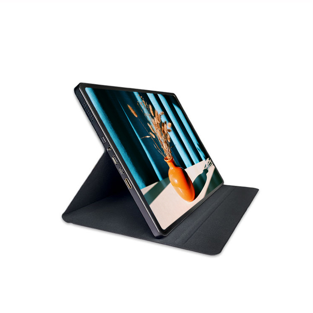 11 Inch Portable Monitor FHD 1728*2368 High Resolution USB-C Laptop External OLED Touch Screen Monitor Price