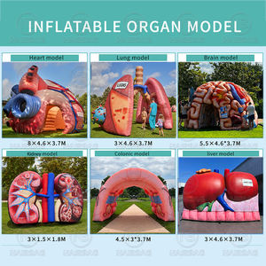 Riesige Lungenkrebs bewusstsein Schlauchboote Modell Lunge Aufblasbare Ausstellung Event Gesundheits messen-Herz Gehirn Colon Nieren Leber Brust - Product Image 6